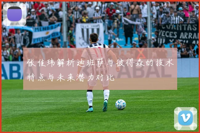 张佳玮解析迪班萨与彼得森的技术特点与未来潜力对比